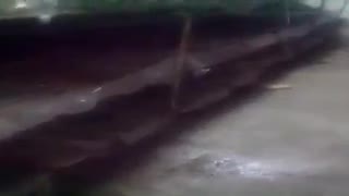 تست جدیدترین خاک پوششی در پرورش قارچ