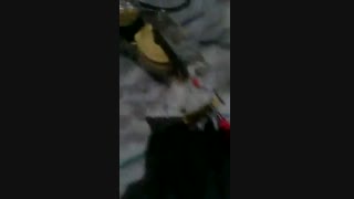 گوی پلاسما توسط بنده پیام ایلبیگی اصلی