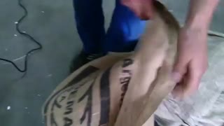 سرکیسه دوز همراه با بالانسر