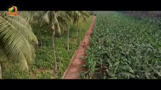 تریلر فیلم Rx 100 2018