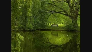 ❤️چالش گذاشتم کسی هست که شرکت کنه؟❤️