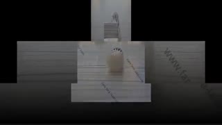 محصولات فرالیزر