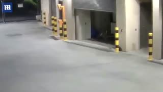 روح دیلی میل (سرزمین ارواح)