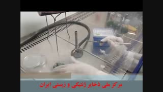 آموزش کشت میکروارگانیسم