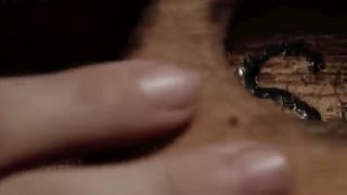 دانلود فیلم Ouija House 2018 خانه ی احضار روح / تریلر