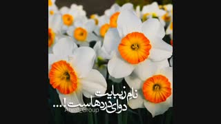 علائم نهایی پیش از ظهور امام زمان عج چیست؟*ادامه پست قبل