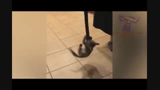 آویزون