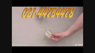 باربری پونک