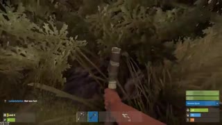 Rust RAG TO RICH FAST
