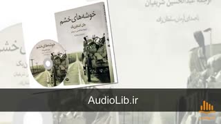 کتاب صوتی خوشه های خشم