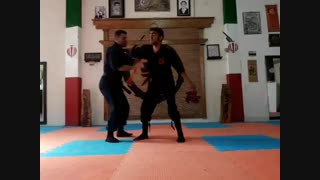 اجرا تکنیک تسوکی بوایری توسط شیدوشی ابوذرخواجو