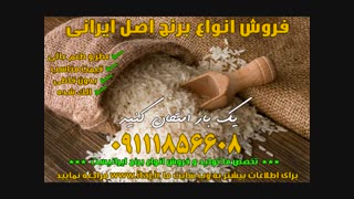 خرید برنج طارم هاشمی طارم نیم دانه اصل ایرانی 09111856608