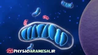 درمان قطعی آرتروز زانو با لیزر