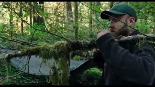 تریلر فیلم Leave No Trace 2018