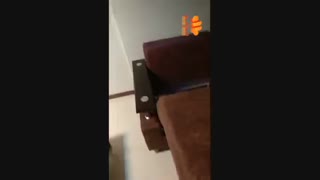 مبل تخت شو اداری