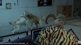 دانلود فیلم کوپال به صورت کامل