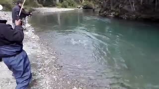 ماهیگیری