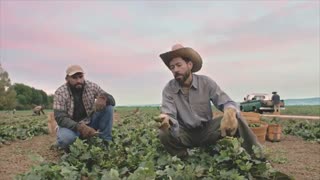 دانلود سریال کمدی شوخی - فصل 1 قسمت 4-با بازی جیم کری-با زیرنویس چسبیده