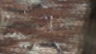 قسمت پنجم سریال کره ای چهره پادشاه +زیرنویس +کامل The Kings Face با بازی سئو این گوک ، Jo Yoon-hee و Kim Gyu-ri