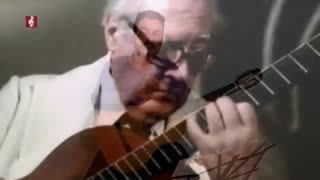 تفاوت سبک های کلاسیک، پاپ و فلامنکو گیتار چیست؟