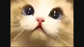 لوشاتلیه -__-