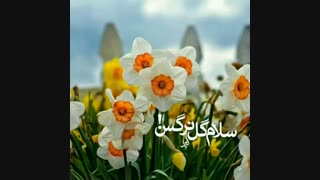 تا نیایی گره از کارها وا نمیشود...