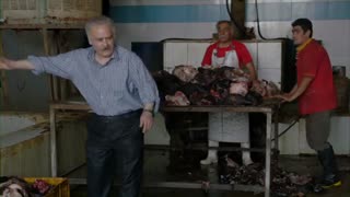 شاهگوش قسمت ۱