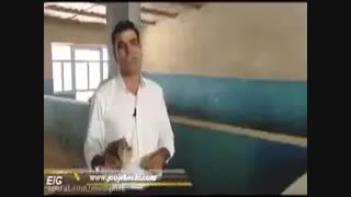 گفتگو با پرورش دهنده شترمرغ