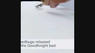 سمپاشی ساس شرکت سمپاشی یاران سبز