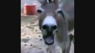 وقتی کای ضایع میشه ><
