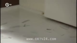 غنچه‌های زخمی قسمت 285