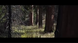 فیلم ترسناک Feral 2017