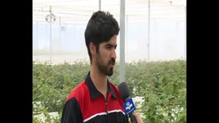 کاشت گلخانه ای