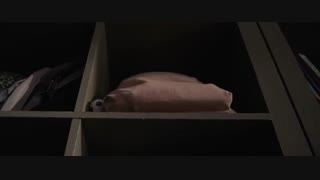 مرد مورچه‌ای و زنبورک - Ant-Man and the Wasp (2018