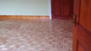 نمونه کار پارکت آذران پلاستیک مهراز 02188834251-02188835441-09121208447