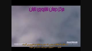 نحوه لقاح
