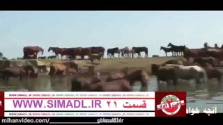 ساخت ایران 2 قسمت 21 | قسمت بیست و یکم
