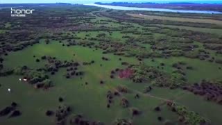 پارک ملی بوجاق از پارک های ملی استان گیلان