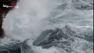 سیاره انسان - اقیانوس‌ها : ریسک خطر مرگ برای شکار بارناکل گردن غازی