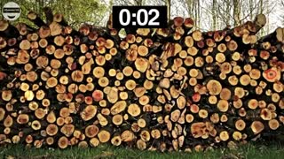 اگر به 13 تا از این 15 سوال پاسخ درست بدهید شما از آلبرت اینشتین هم باهوش تر هستید.