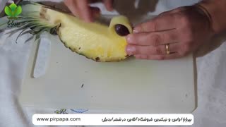 خلاقیت با آناناس