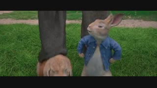 انیمیشن پیتر خرگوشه Peter Rabbit 2018