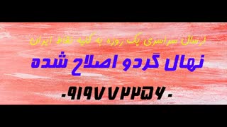 نهال گردو چندلر ژنوتیپ  / 02166462408