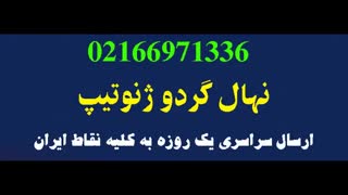 فروش درخت گردو چندلر ژنوتیپ  / 09120398416