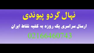 قیمت گردو چندلر ژنوتیپ  / 09123205271