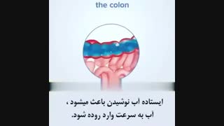 طریقه درست نوشیدن آب