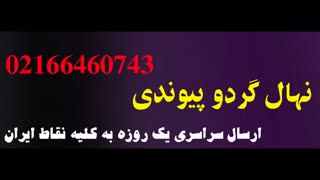 نهال گردو  09121270623 - انواع نهال گردو - ارقام نهال گردو