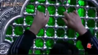 تقدیم به پیادگان و جاماندگان اربعین حسینی