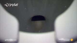 سیستم تخلیه ی فاضلاب و دستشویی هواپیما !