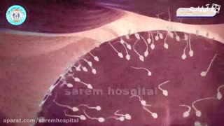 داستان رقابت اسپرم ها برای رسیدن به تخمک زن